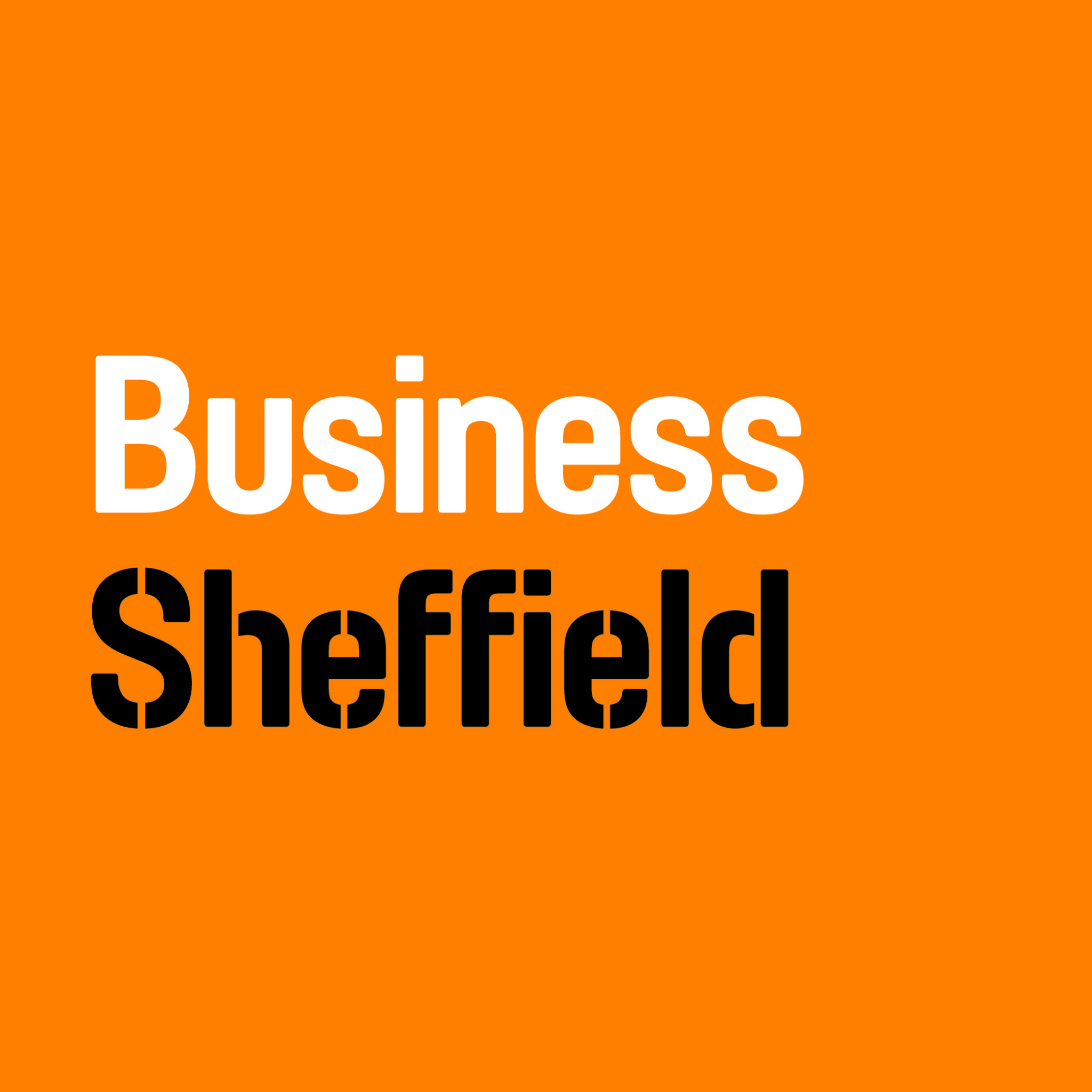 Website design course for Business Sheffield