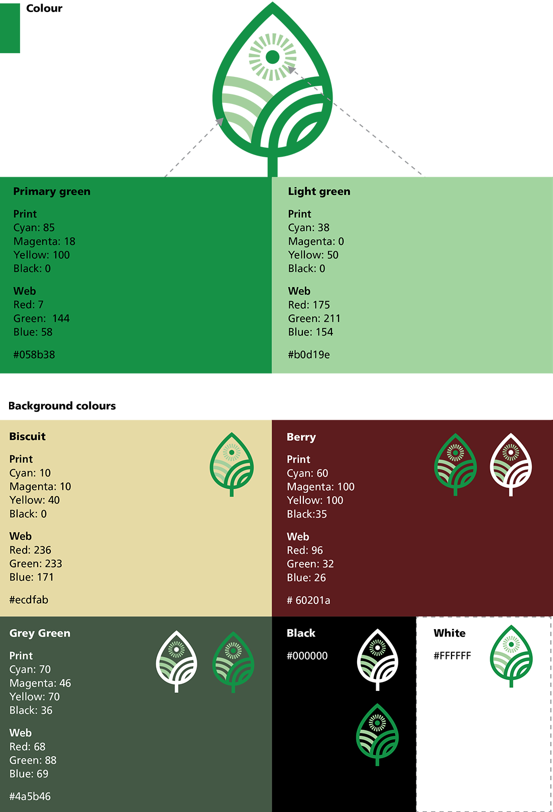 Colour guidelines brand identity